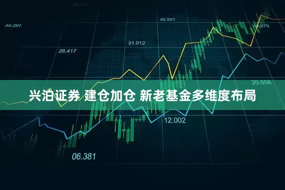 兴泊证券 建仓加仓 新老基金多维度布局