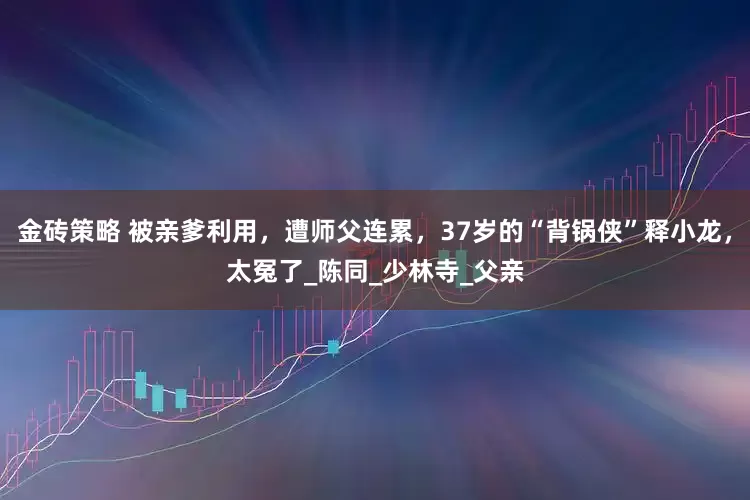金砖策略 被亲爹利用，遭师父连累，37岁的“背锅侠”释小龙，太冤了_陈同_少林寺_父亲