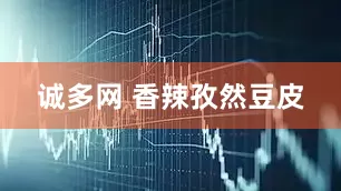 诚多网 香辣孜然豆皮